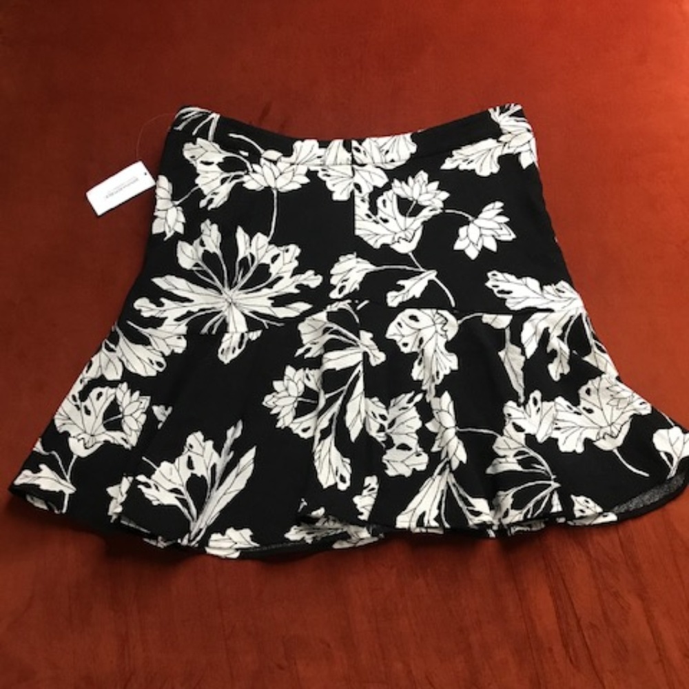 Banana Republic Skirt